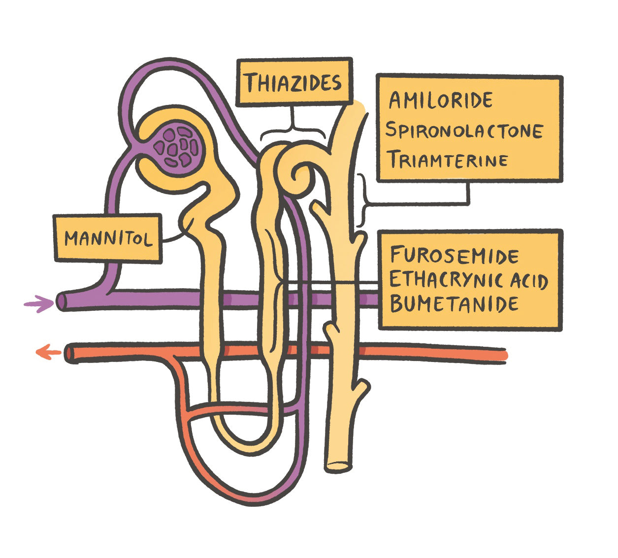 Clinical Pharmacology Made Ridiculously Simple: Color Edition
