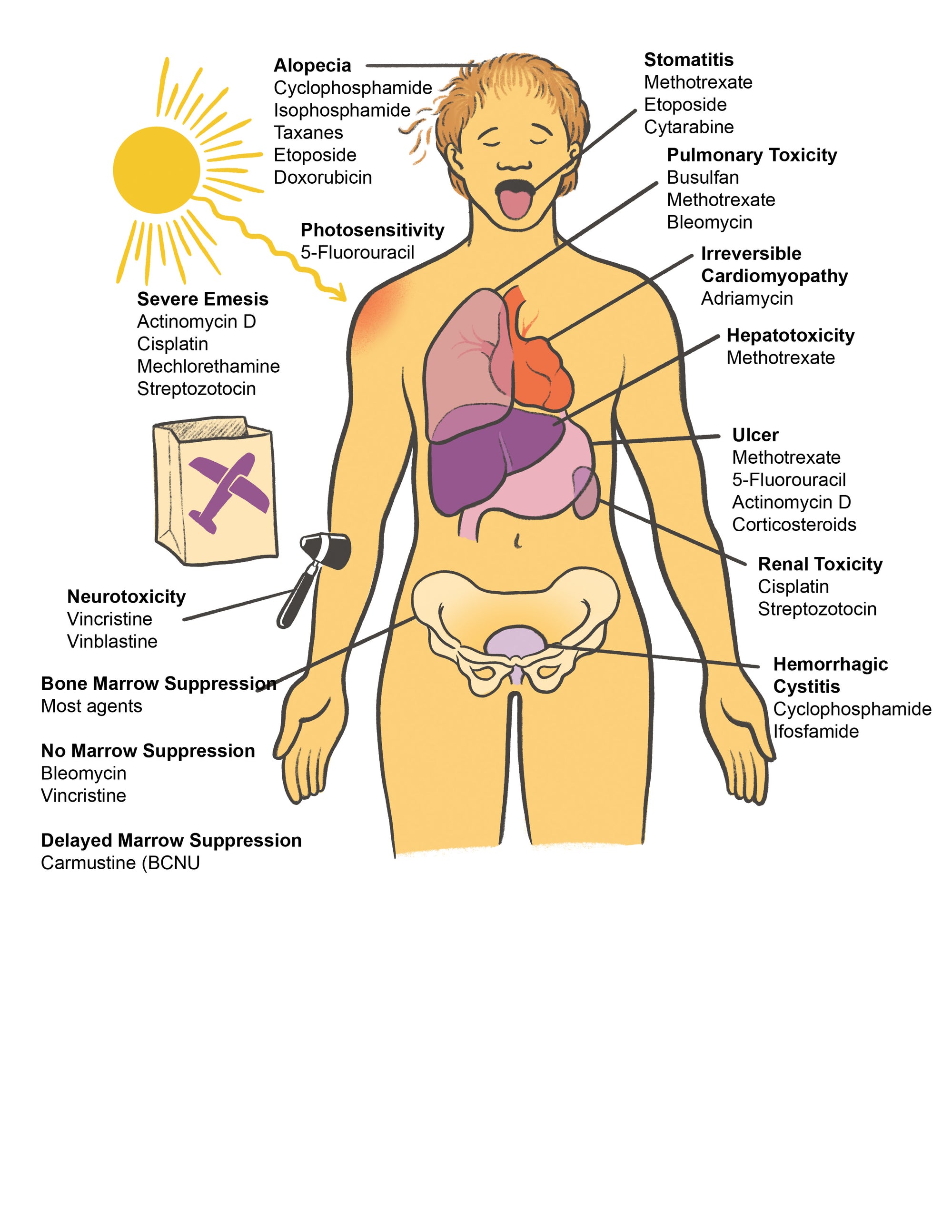 Clinical Pharmacology Made Ridiculously Simple: Color Edition