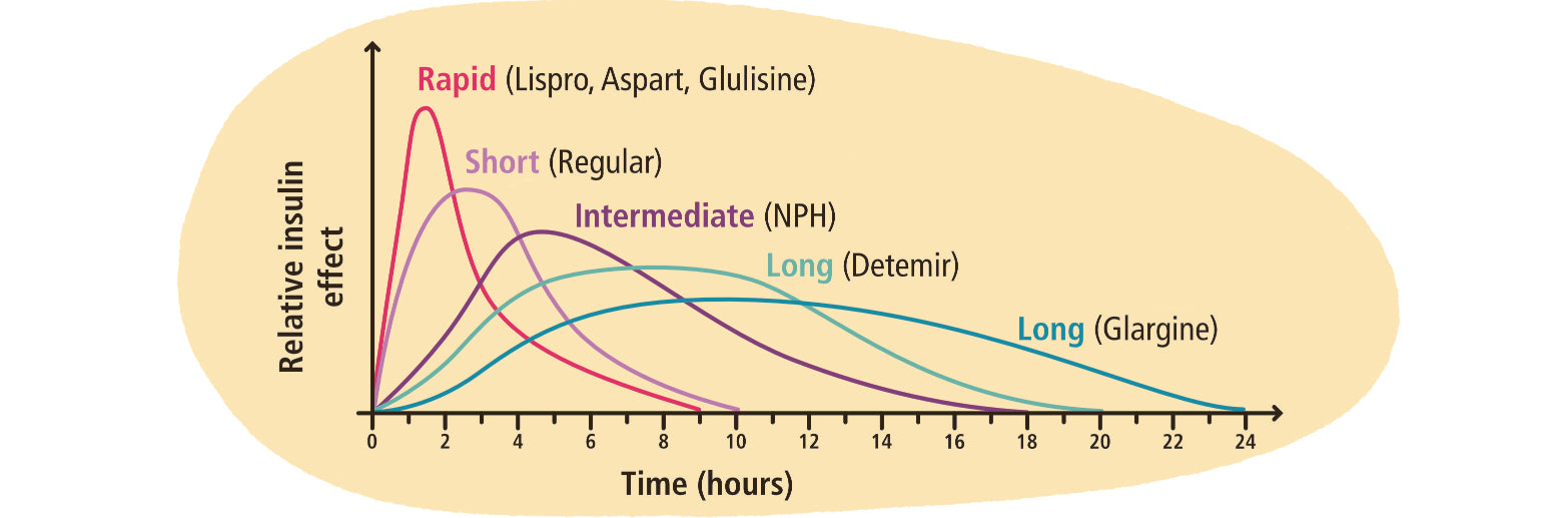 Endocrinology Made Ridiculously Simple