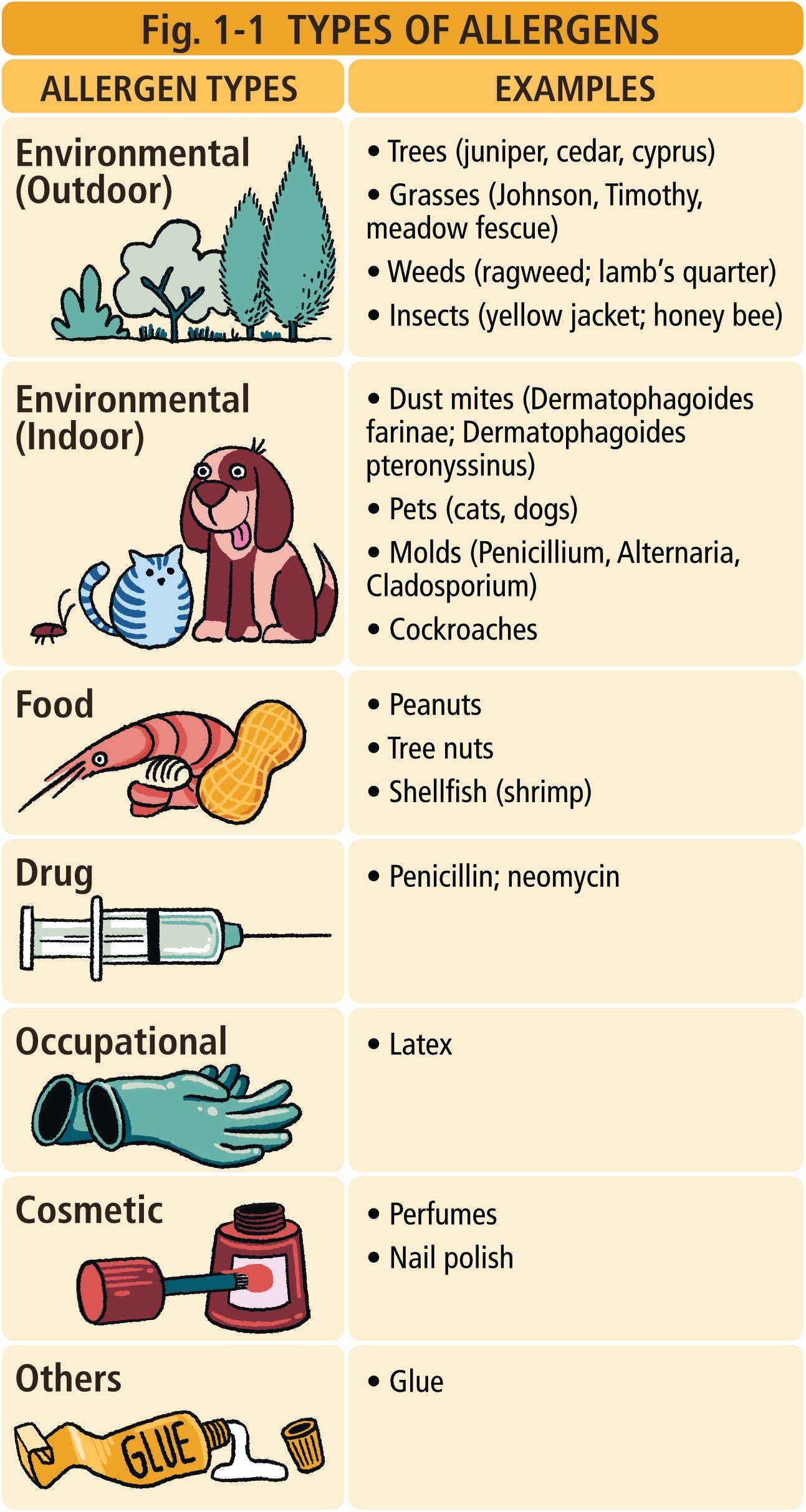 Allergy and Asthma Made Ridiculously Simple