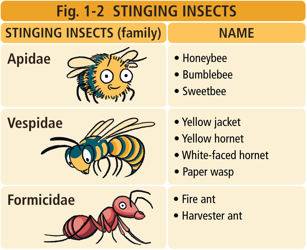 Allergy and Asthma Made Ridiculously Simple