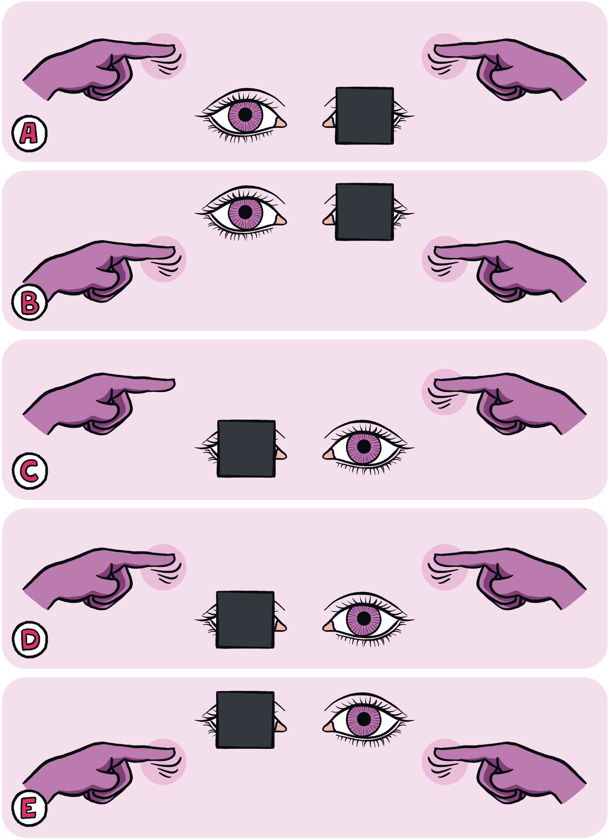 Neurology Made Ridiculously Simple