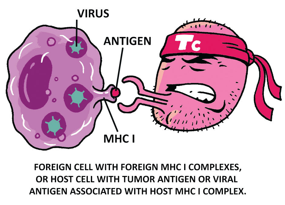 War Against the Germs: Epidemics, Microorganisms, and Biowarfare
