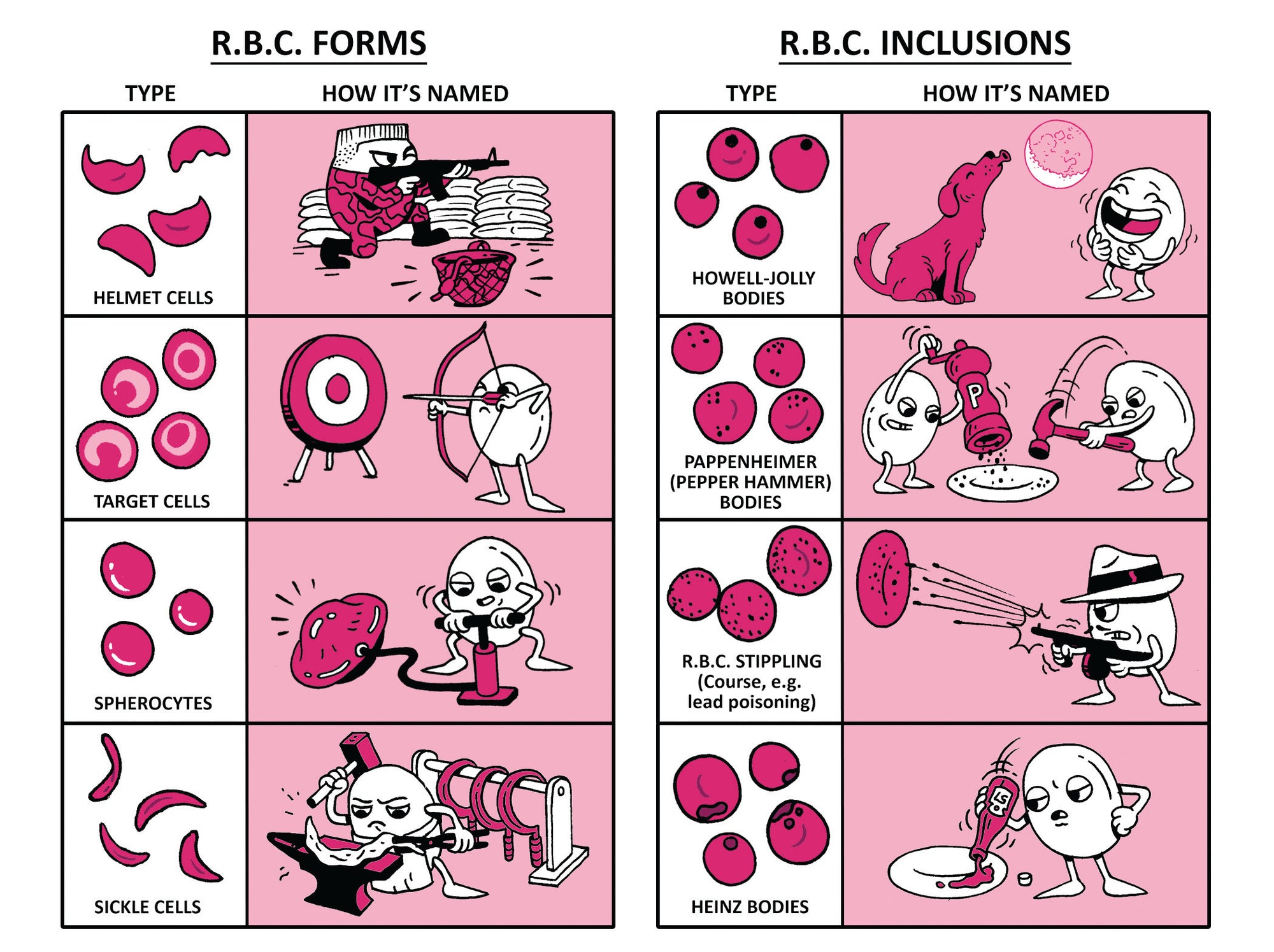 USMLE Step 1 Made Ridiculously Simple, Color Edition