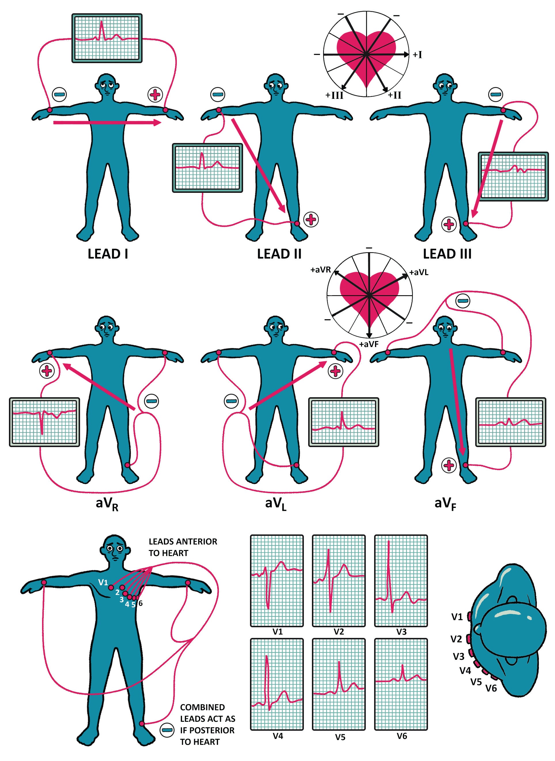 Clinical Physiology Made Ridiculously Simple