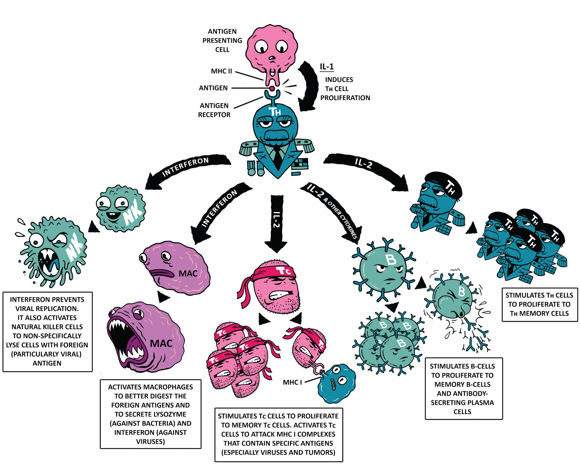 Clinical Physiology Made Ridiculously Simple