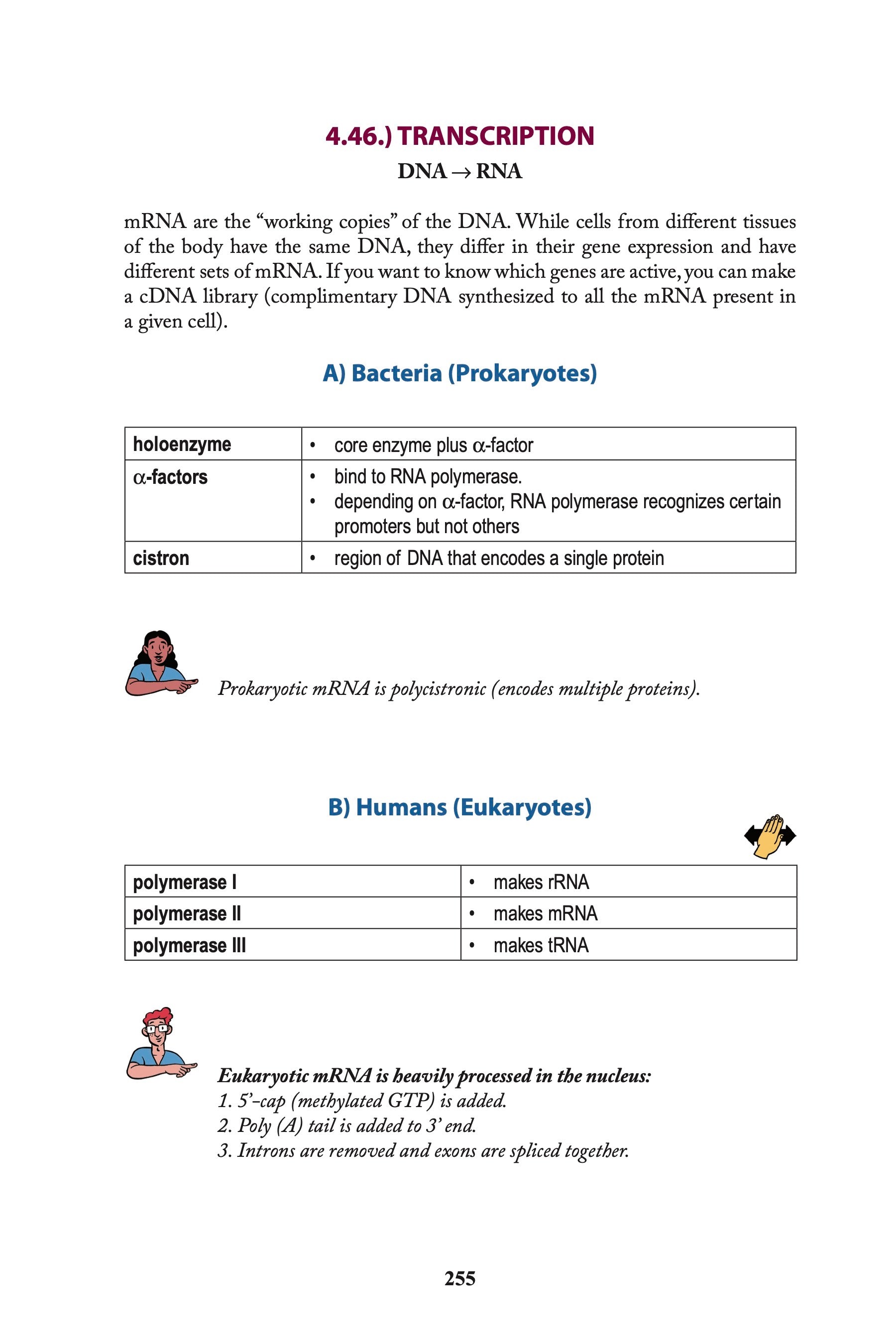 USMLE Step 1 Made Ridiculously Simple, Color Edition