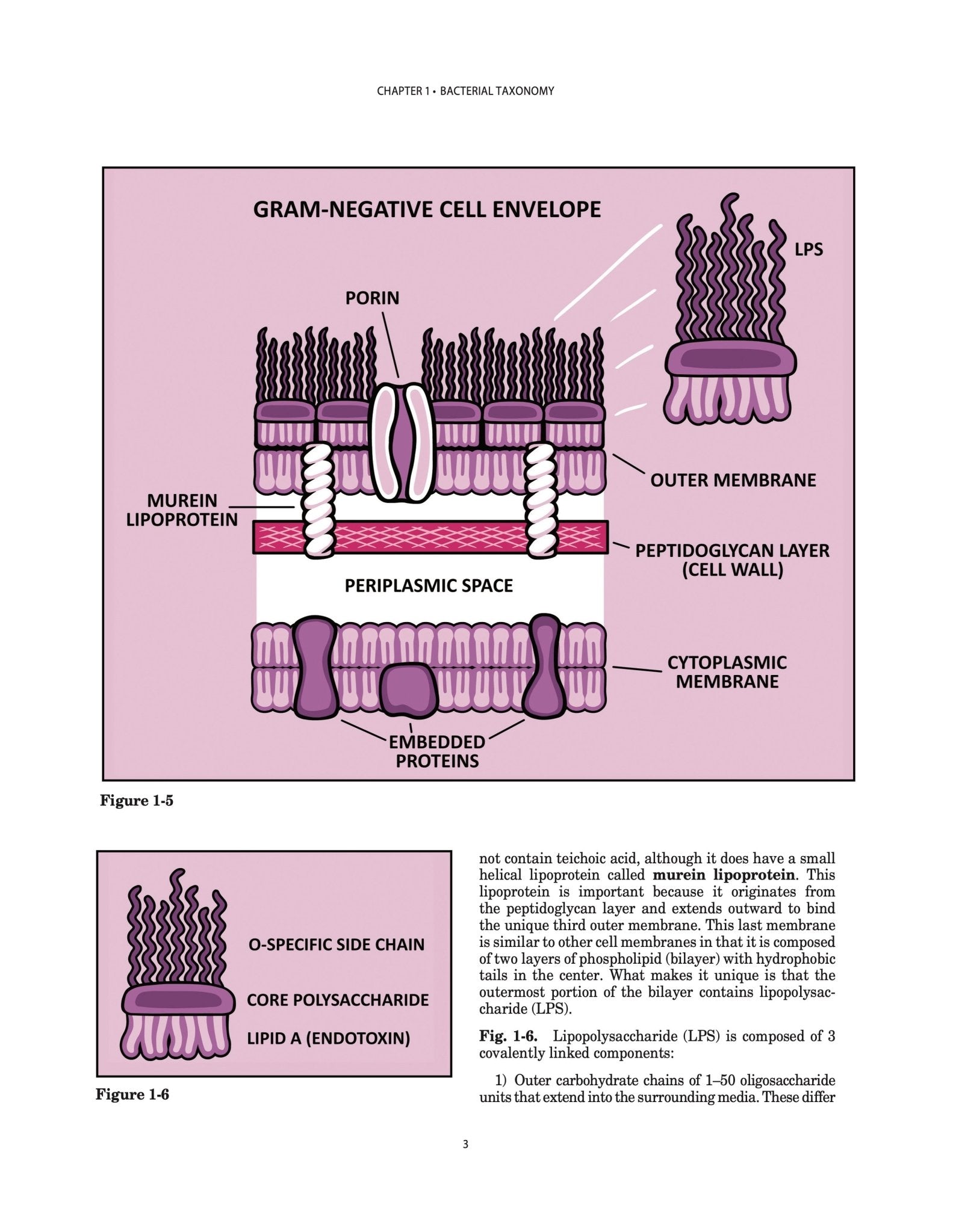 Clinical Microbiology Made Ridiculously Simple - MedMaster