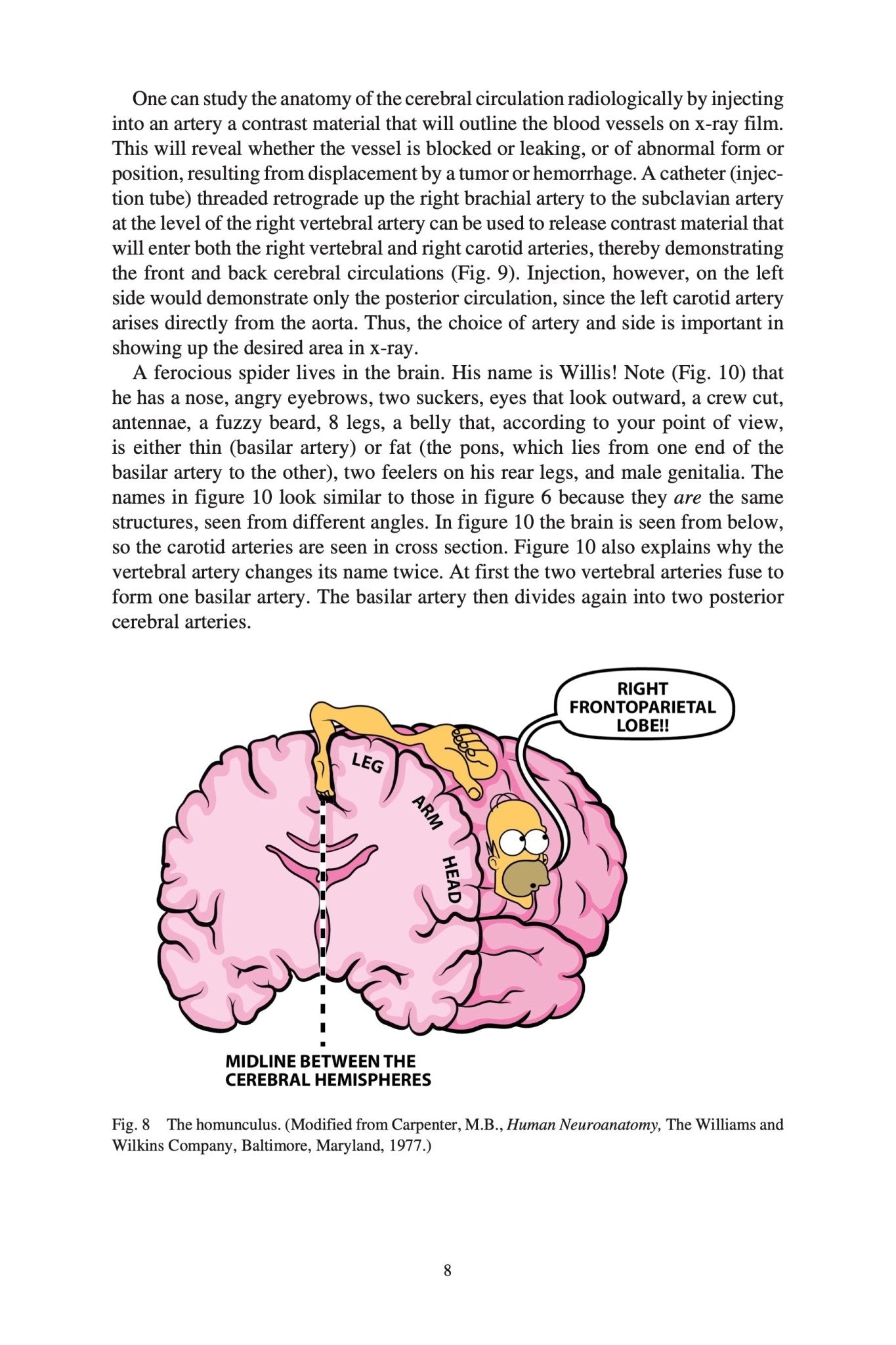 Clinical Neuroanatomy Made Ridiculously Simple - MedMaster