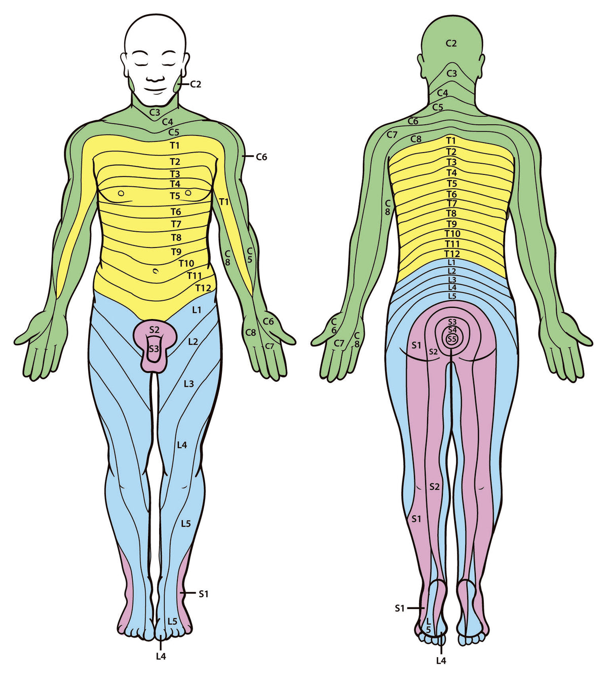 The Four-Minute Neurologic Exam