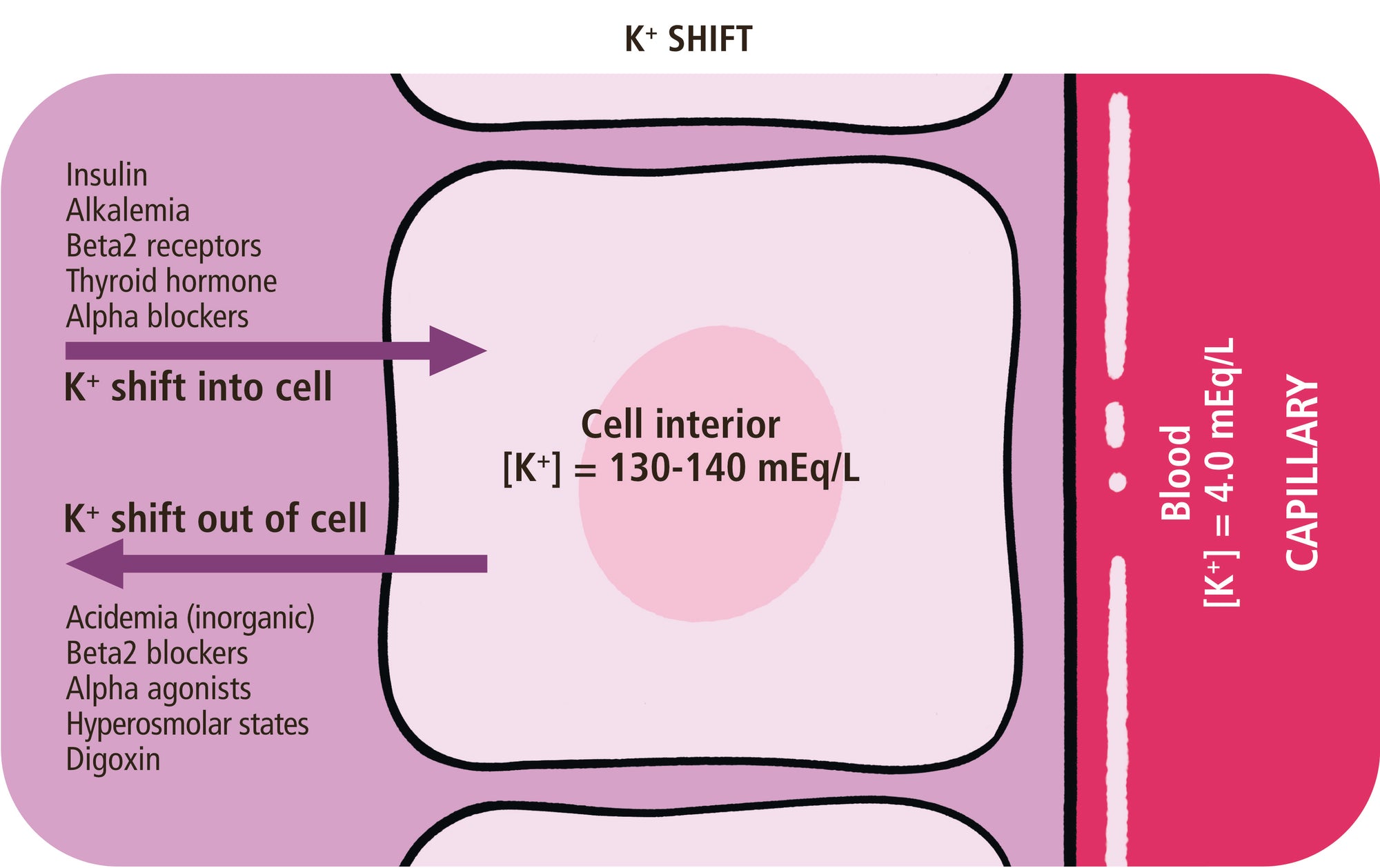 Acid-Base, Fluids, and Electrolytes Made Ridiculously Simple