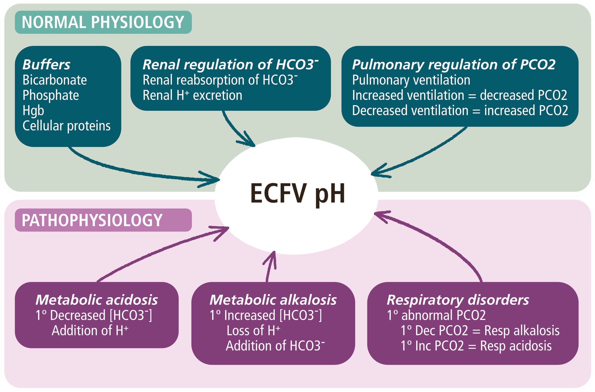 Acid-Base, Fluids, and Electrolytes Made Ridiculously Simple