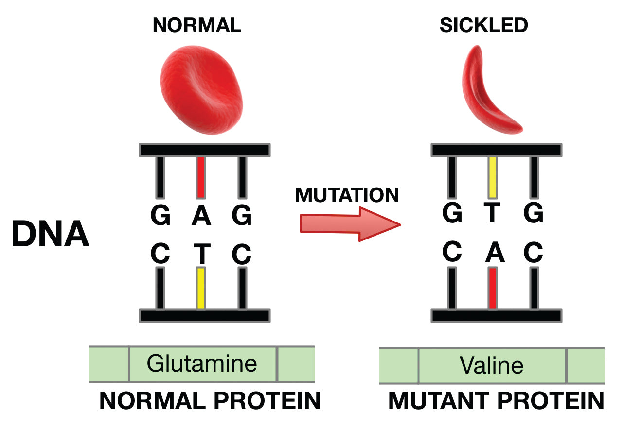 Clinical Genetics Made Ridiculously Simple